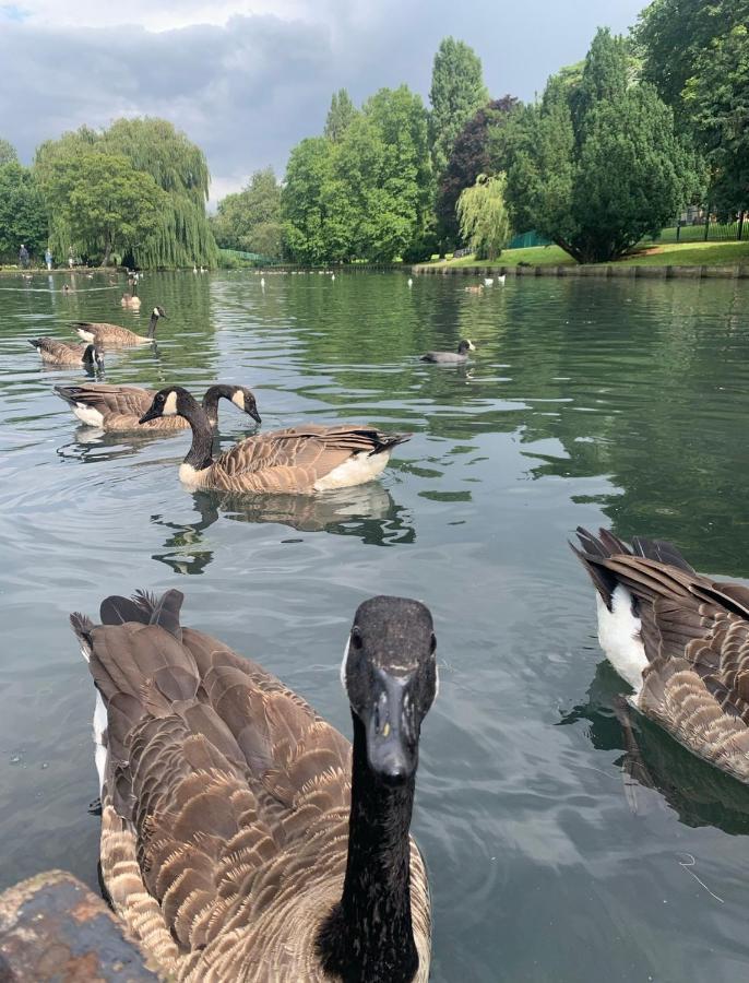 Beddington Park Lodge East Wallington Buitenkant foto