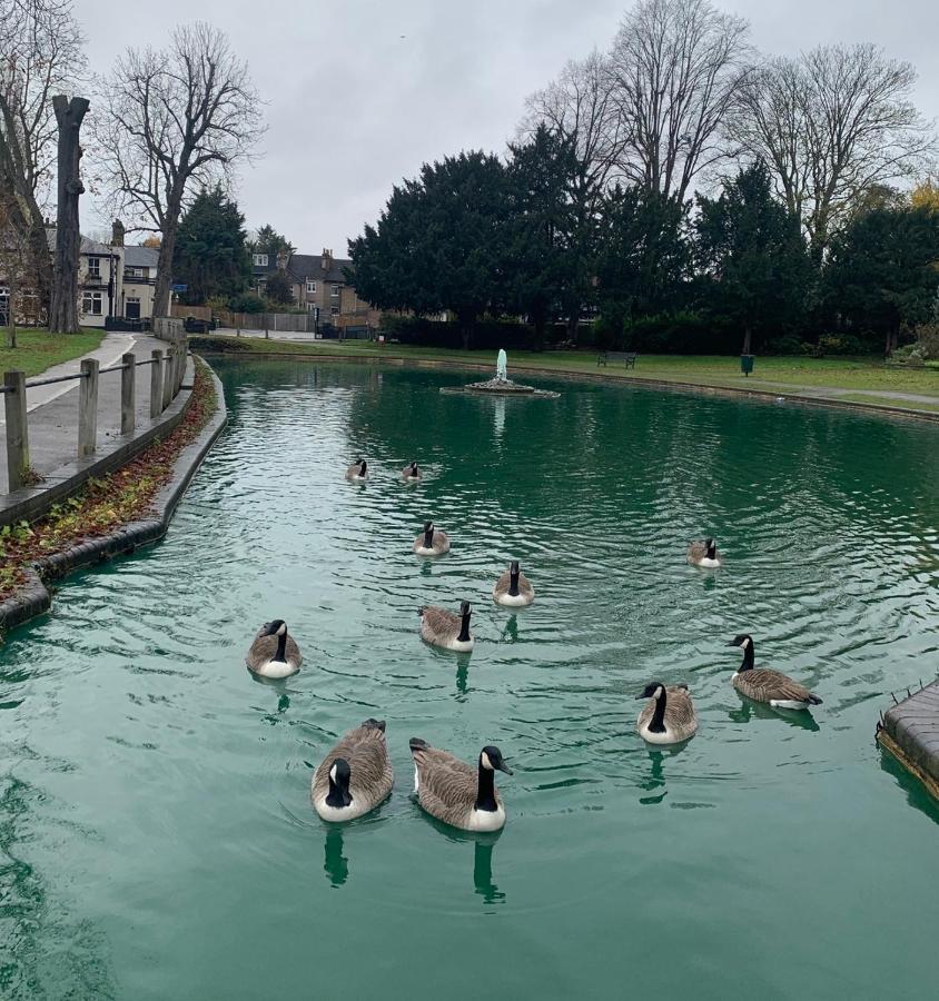Beddington Park Lodge East Wallington Buitenkant foto