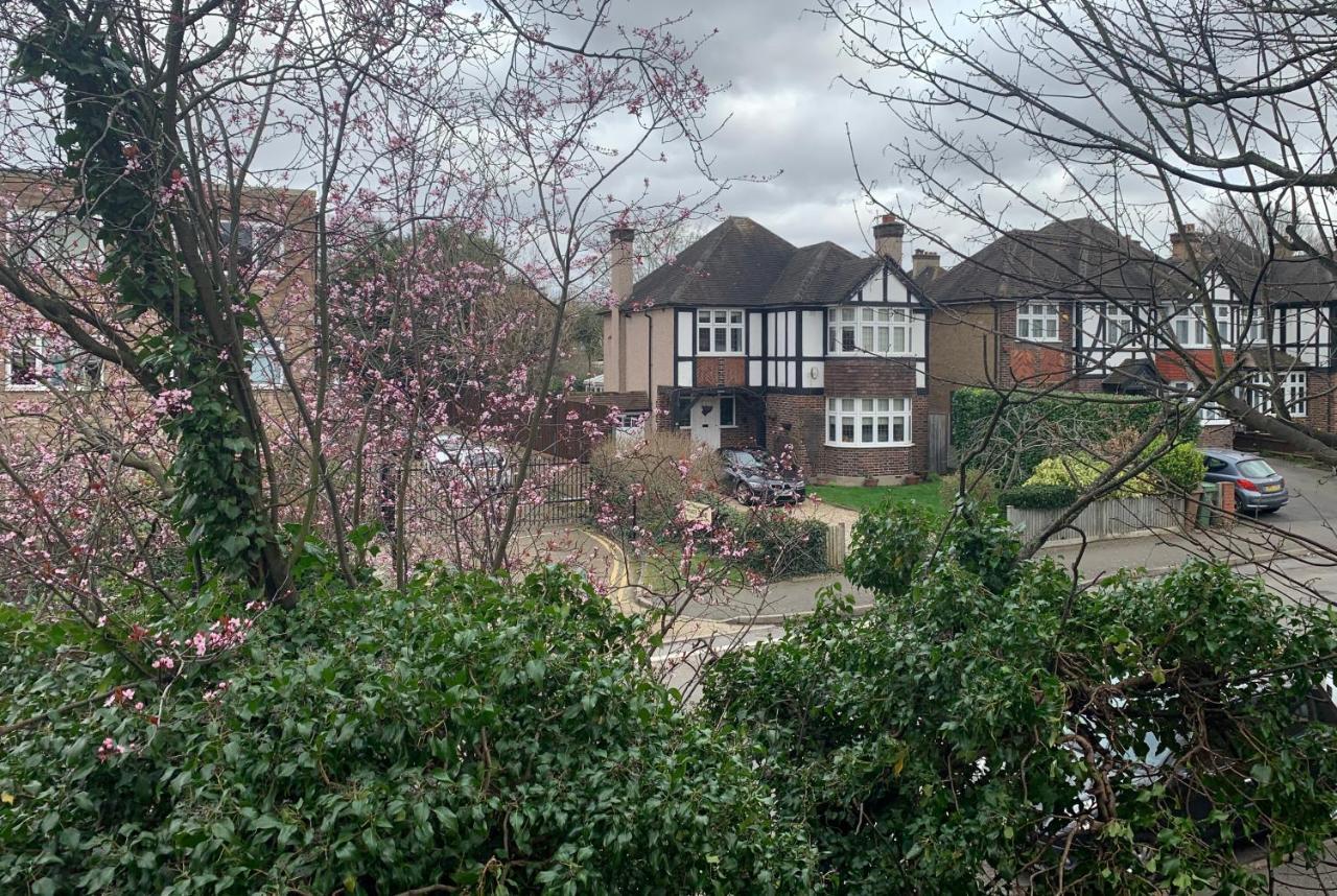 Beddington Park Lodge East Wallington Buitenkant foto